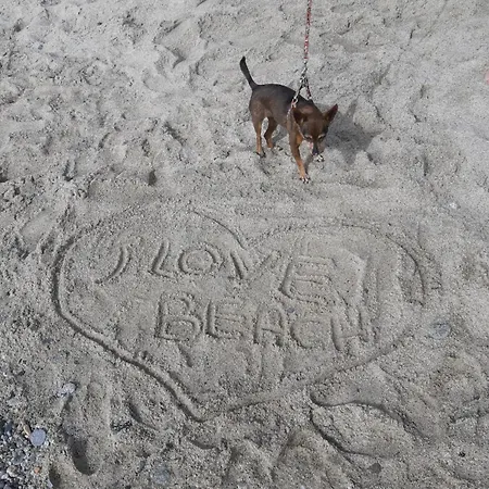 Nicole - Stella Marina *