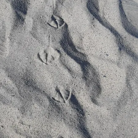 Apartamento Nicole - Stella Marina *