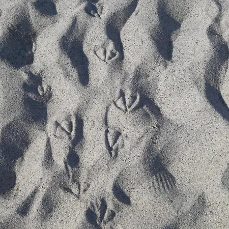 Apartament Nicole - Stella Marina *