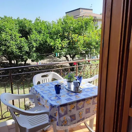 Nicole - Stella Marina *