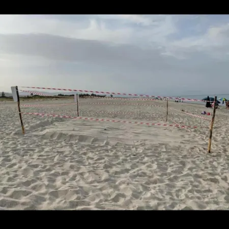 Nicole - Stella Marina 아파트