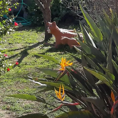 Apartament Nicole - Stella Marina Isca Marina