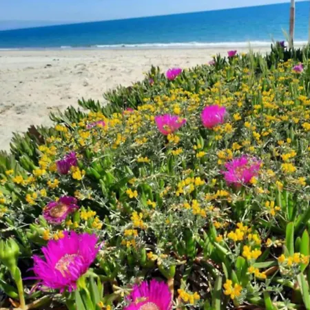 아파트 Nicole - Stella Marina Isca Marina