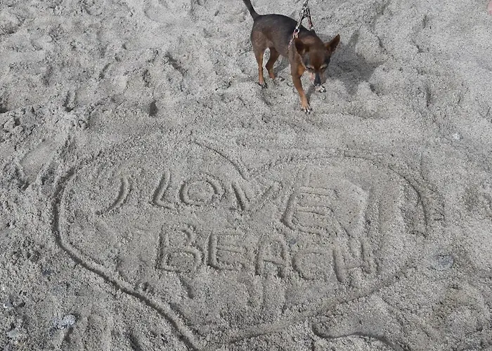 Nicole - Stella Marina *