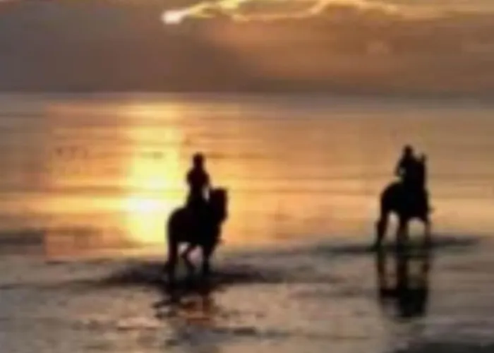 公寓 Nicole - Stella Marina *