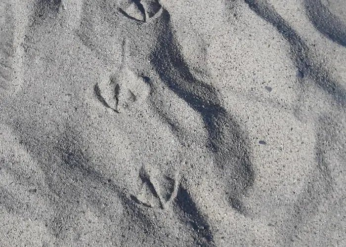 公寓 Nicole - Stella Marina *