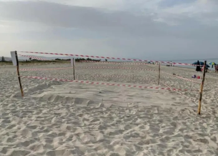 Nicole - Stella Marina 公寓