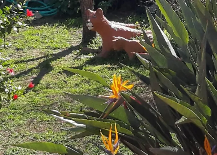 公寓 Nicole - Stella Marina Isca Marina